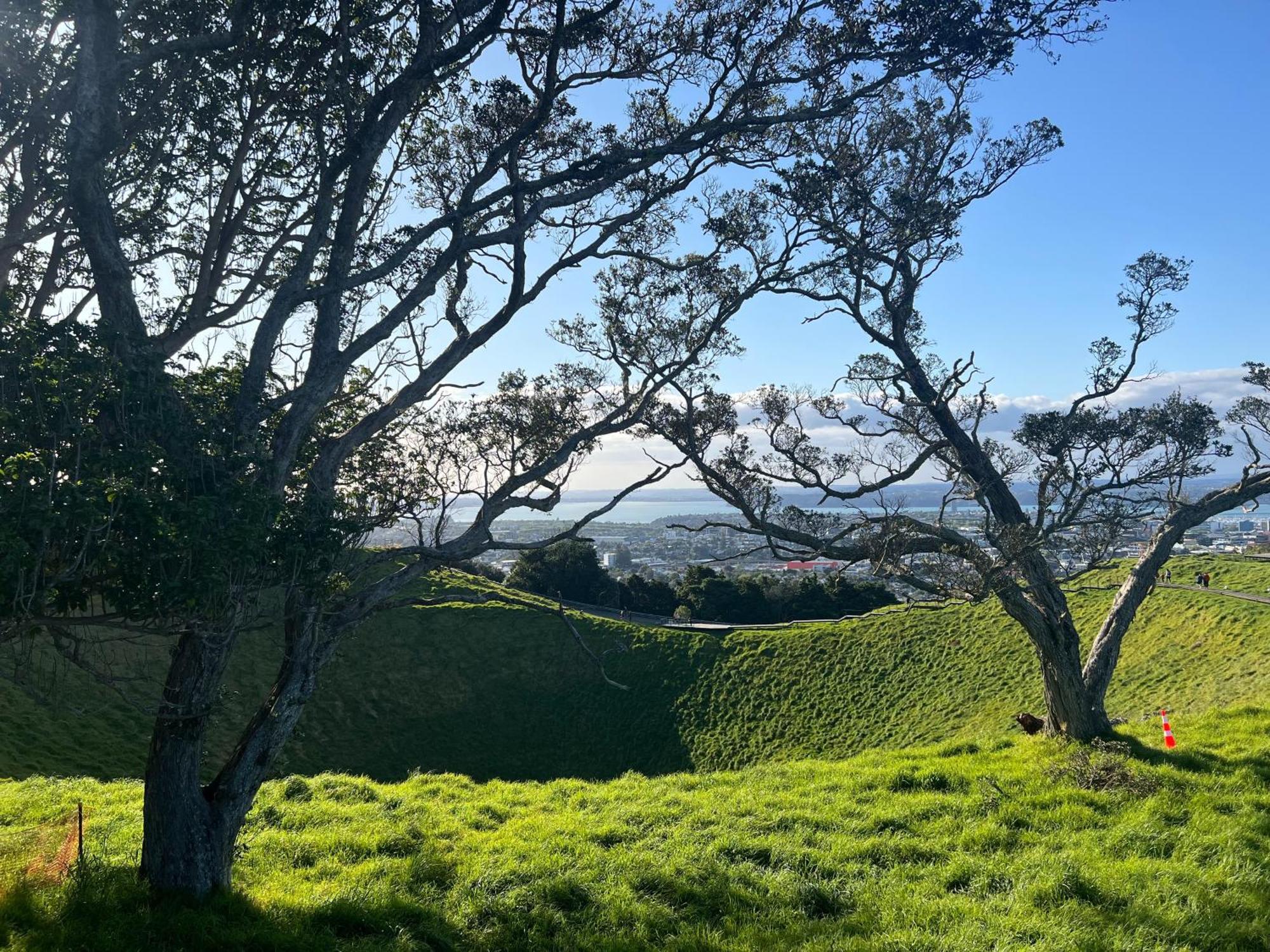 Luxurious & Spacious Living With Breathtaking Views Auckland Extérieur photo